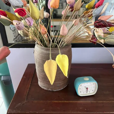 Apartamento Charmante Maison Avec Exterieur Paisible, Proche Centre Bordéus